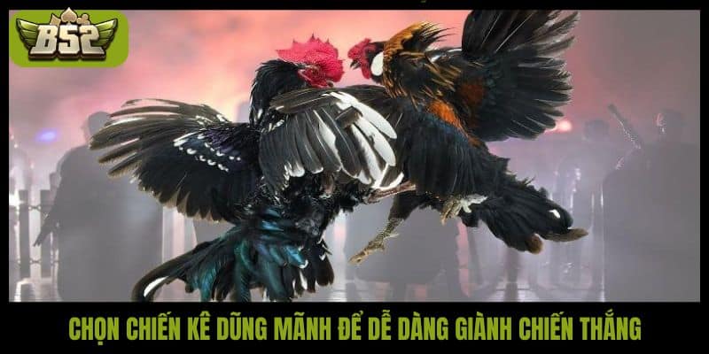 Chọn chiến kê dũng mãnh để dễ dàng giành chiến thắng